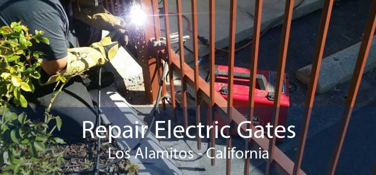 Repair Electric Gates Los Alamitos - California